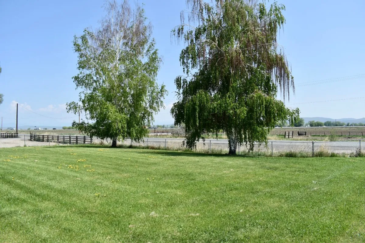 An expansive grassy area framed by two large trees, with a fence in the background and distant mountains visible. The open green space is inviting, peaceful, and offers plenty of room for pets and families to play or relax outdoors. The fence in the background hints at a secure environment for pets, while the mountain views add to the rural setting.